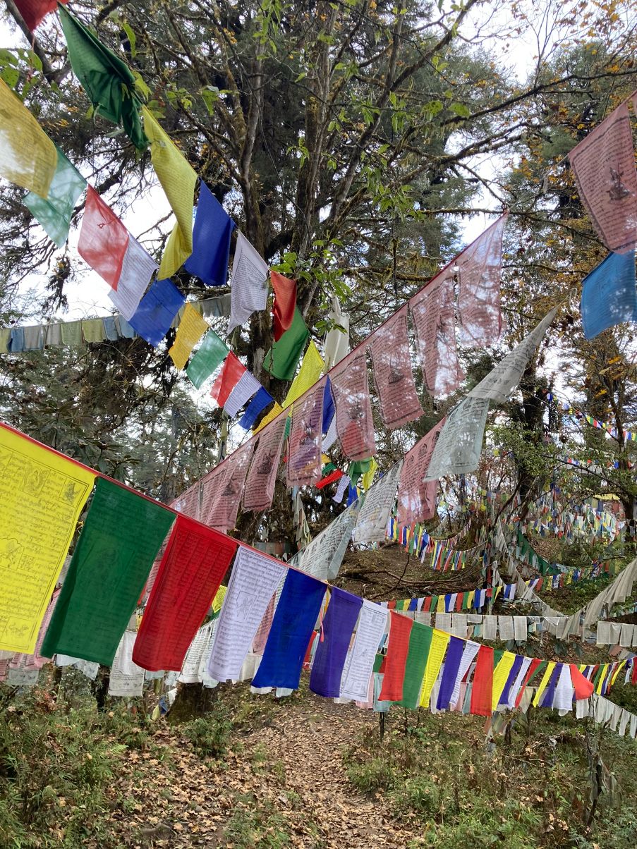 Bhutan Moments of Stillness Beneath Fluttering Flags